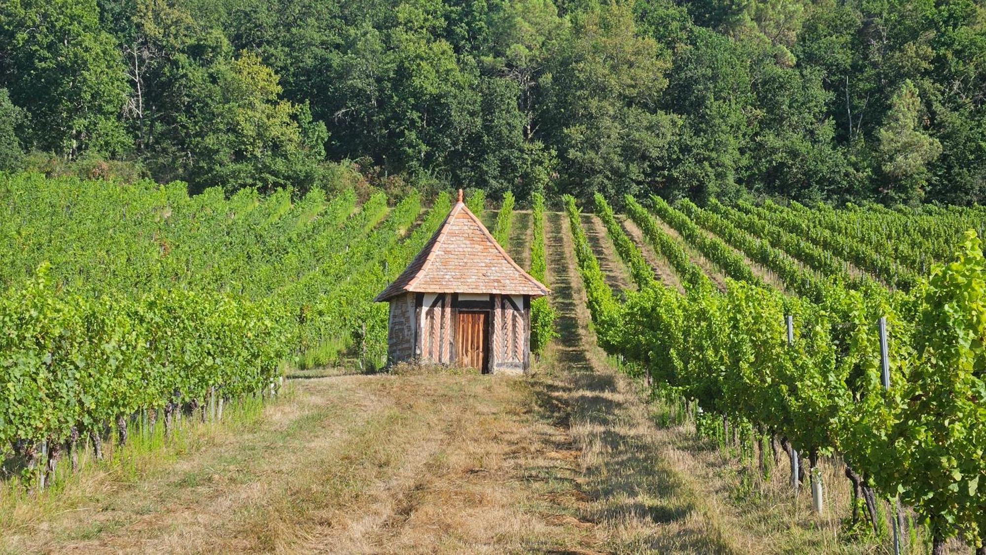 Le Fleix Chambres Et Gites Les Deux Chenes Pres De Bergerac מראה חיצוני תמונה