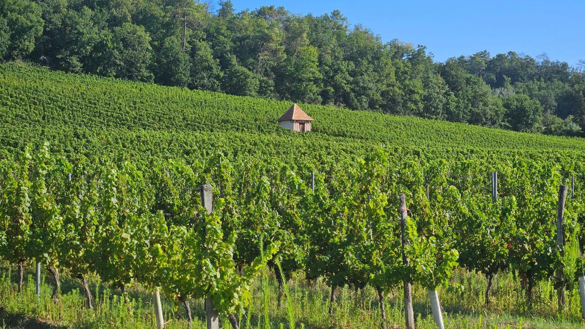 Le Fleix Chambres Et Gites Les Deux Chenes Pres De Bergerac מראה חיצוני תמונה