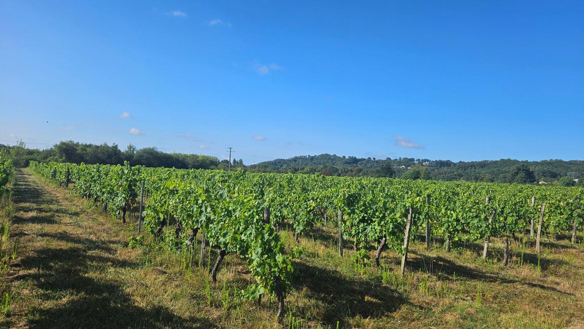 Le Fleix Chambres Et Gites Les Deux Chenes Pres De Bergerac מראה חיצוני תמונה